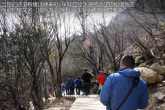2012款 5.0 自动 HSE汽油版 7座