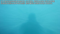 2012款 5.0 自动 HSE汽油版 7座