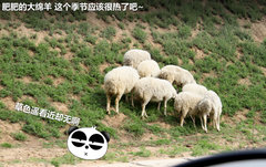 2012款 2.3L 自动 豪华型