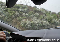 2012款 2.3L 自动 豪华型