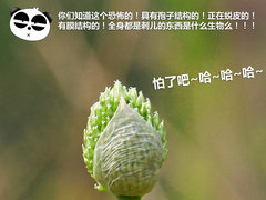 2012款 2.3L 自动 豪华型