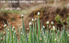 2012款 2.3L 自动 豪华型
