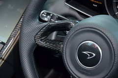 2013款 3.8T SPIDER