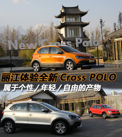 2012款 Cross Polo 1.6L AT 