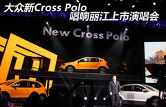 2012款 Cross Polo 1.6L AT 