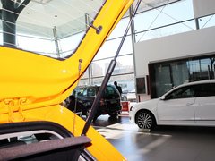 Polo 2012款 Cross Polo 1.6L AT 