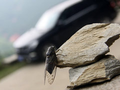 2012款 ML350 3.5L 豪华型 5座