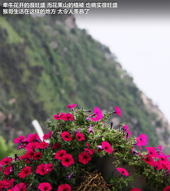 2012款 精英版 1.6S 手动 豪华型 5座