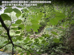 2012款 精英版 1.6S 手动 豪华型 5座