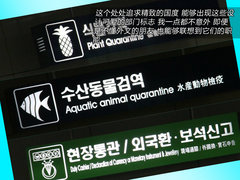 2012款 1.8L 自动 尊贵型