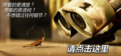 2012款 1.8L 自动 尊贵型
