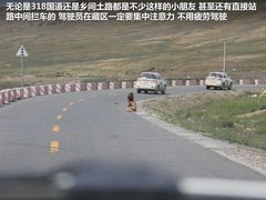 2012款 2.0L 手动 两驱至尊版 5座