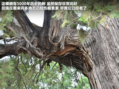 2012款 2.0L CVT 致炫版旗舰型5座