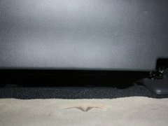 2013款 5.6L 自动 QX56 7座