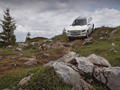 2013款 GL-Class 