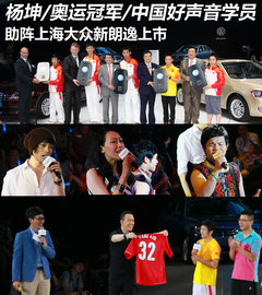 2013款 1.6L 自动 豪华版