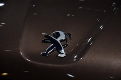 2014款 1.6L 自动 尊贵版