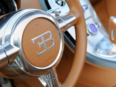 2009款 8.0T 爱马仕特别版