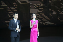 2013款 1.4L 手动 风尚版