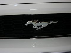 2013款 3.7L 自动 标准型
