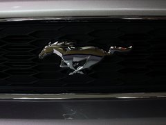 2013款 3.7L 自动 标准型