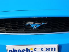 2013款 3.7L 自动 标准型