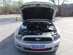 2013款 3.7L 自动 标准型
