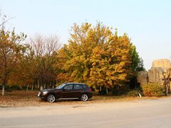 2013款 sDrive18i 2.0L 运动设计套装 5座