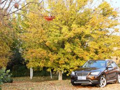 2013款 sDrive18i 2.0L 运动设计套装 5座