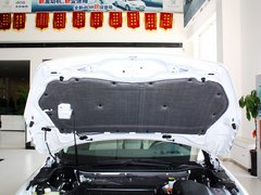 2013款 2.3L 自动 罗兰?加洛斯版