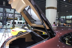 2013款 3.6L Platinum Edition
