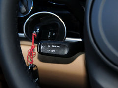 2013款 3.6L Platinum Edition