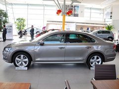 上海大眾  2.0TSI DSG 車輛左正側(cè)視角