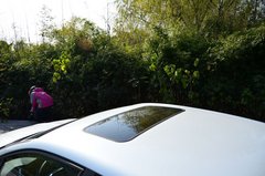 2013款 1.6T 自动 劲智型