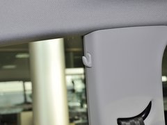 2013款 1.4T DCT 中国限量版Ego