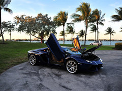 2013款  LP 700-4 Roadster