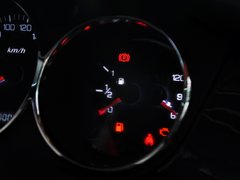 2013款 1.6L 手动 尊尚型