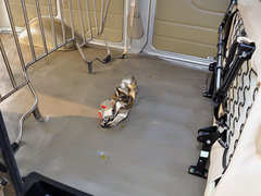 2013款 1.4L 手动 基本型