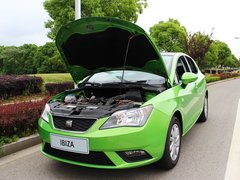 2013款 1.2TSI DCT 5门版Style