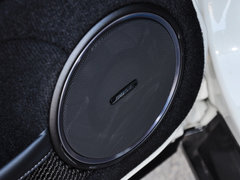 2014款 3.8T DCT Premium Edition 棕红内饰