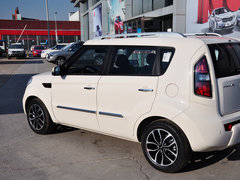 2013款 1.6L 自动 Premium
