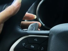 2014款 3.6L 自动 精英导航版 5座