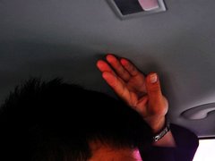 2013款 1.6L 自动 豪华版