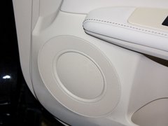 2013款 250 MarkLevinson限量版