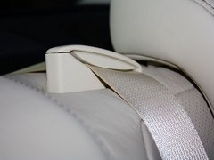 2013款 250 MarkLevinson限量版