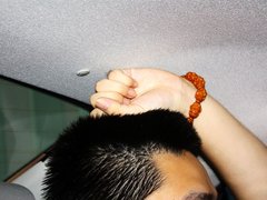 2013款 2.0L 自动 时尚型