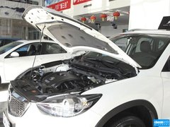 2013款 2.0L 自动 四驱精英型