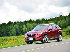 2013款 2.5L 自动 四驱旗舰型