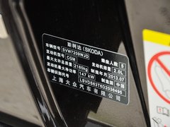 2013款 2.0T DSG 尊仕版