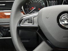 2013款 2.0T DSG 尊仕版